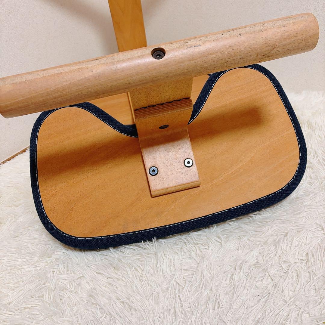 Rybo バランスイージー バランスチェア サカモトハウス 通常フレーム