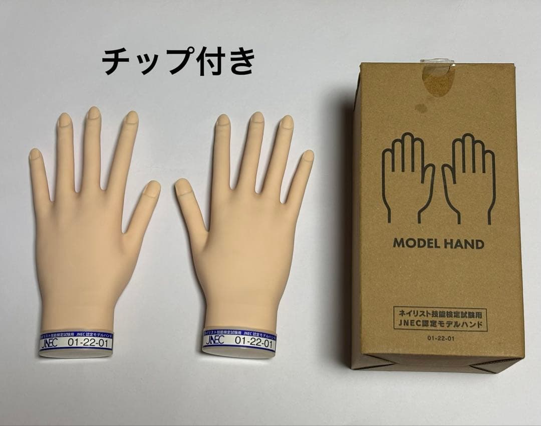 JNCEネイリスト検定認定モデルハンド（本番用）