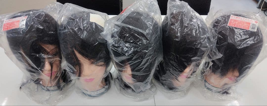 新品 ビューラックス 国家試験本番用 カットウィッグ 24-12-19 5個