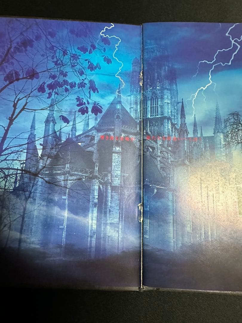 り*い様 Malice Mizer 薔薇の聖堂 CD マリスミゼル