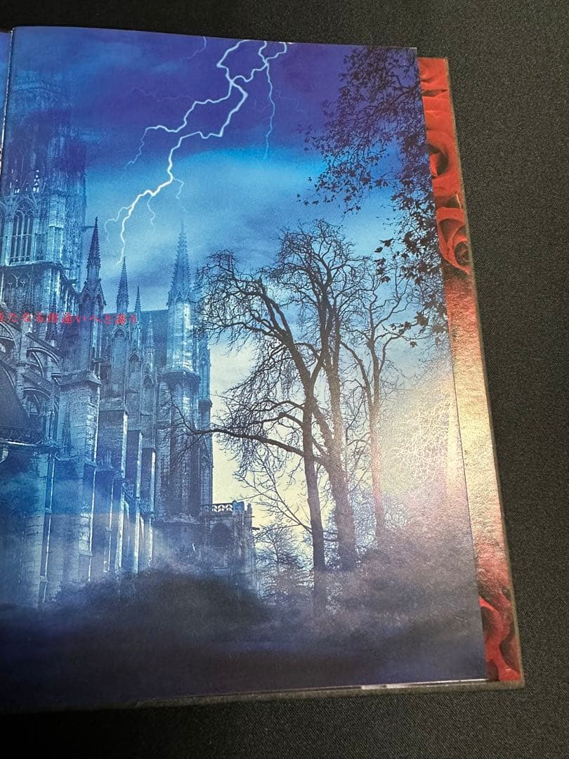 り*い様 Malice Mizer 薔薇の聖堂 CD マリスミゼル