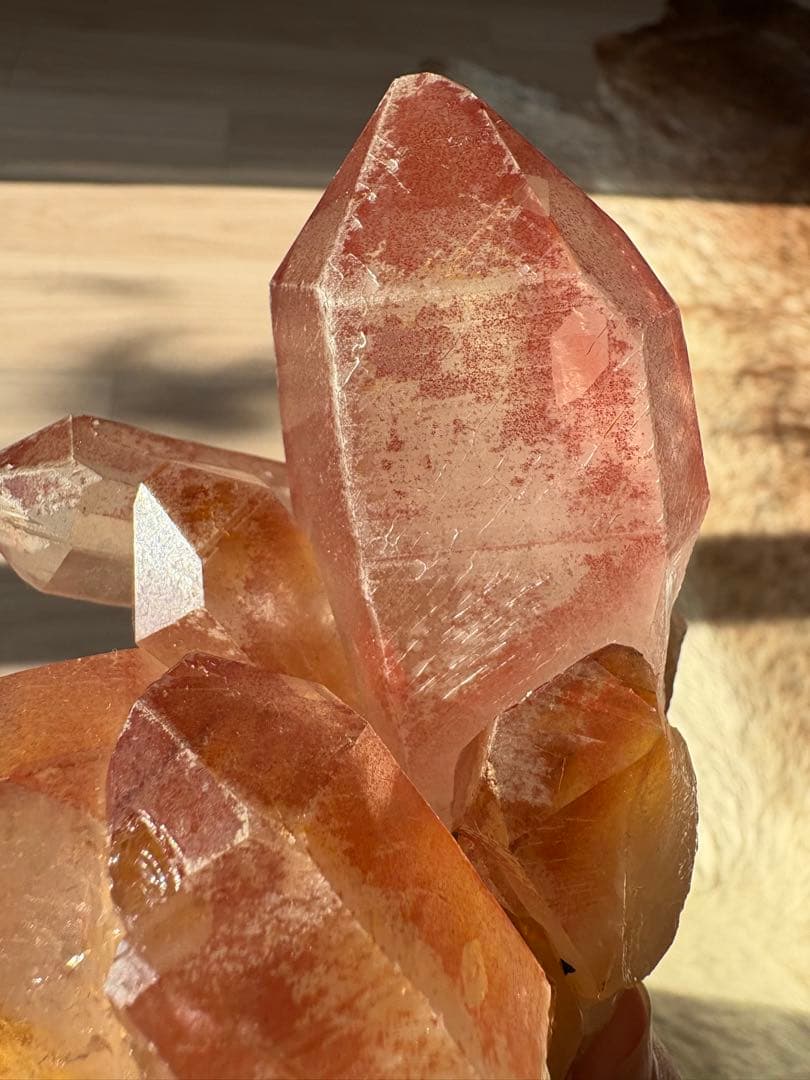 【SALE‼️】希少！　スカーレットテンプルレムリアン