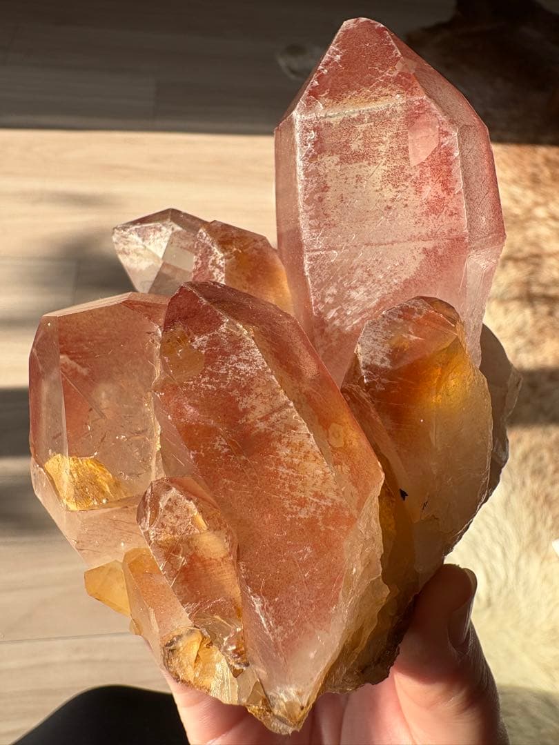 【SALE‼️】希少！　スカーレットテンプルレムリアン