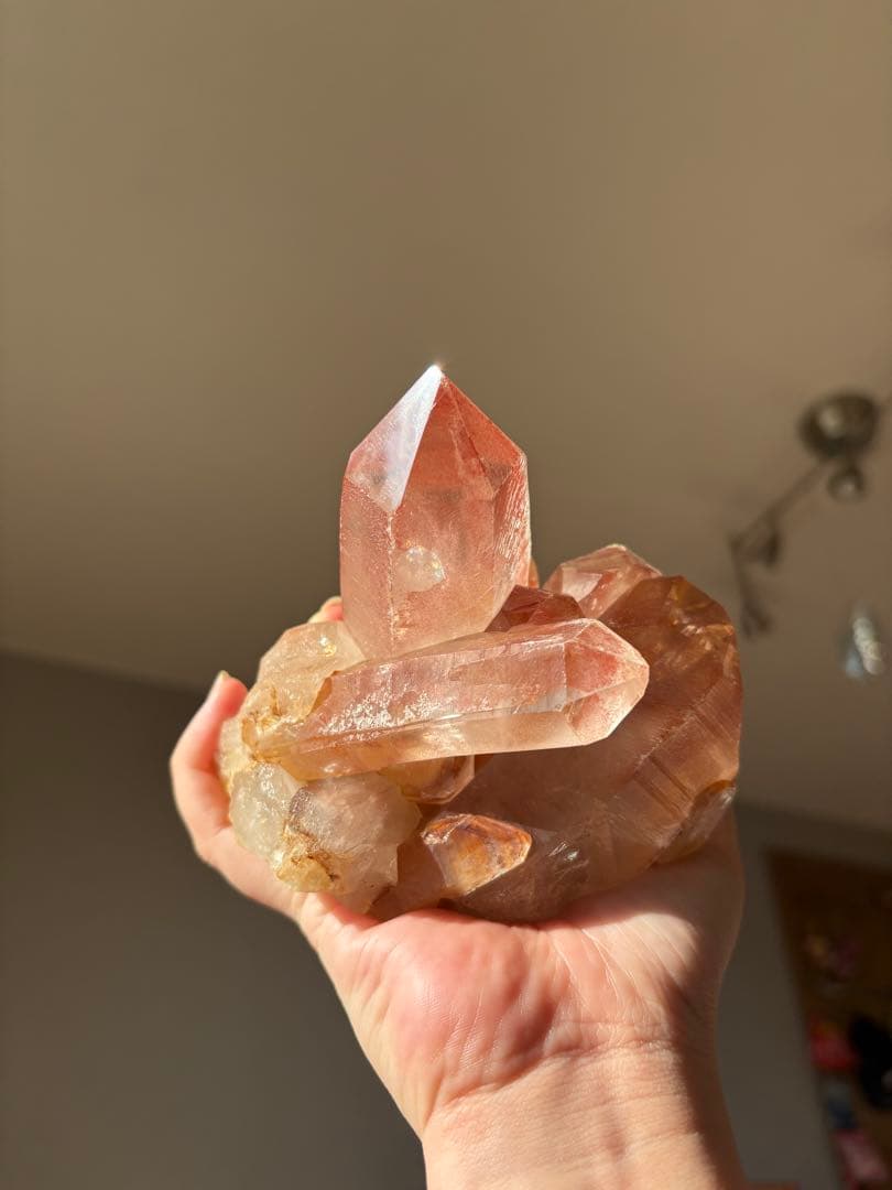 【SALE‼️】希少！　スカーレットテンプルレムリアン