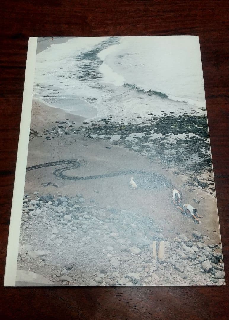 Wolfgang Tillmans Freischwimmer 写真展 図録