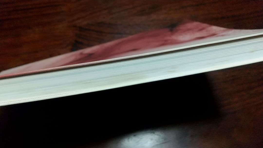 Wolfgang Tillmans Freischwimmer 写真展 図録