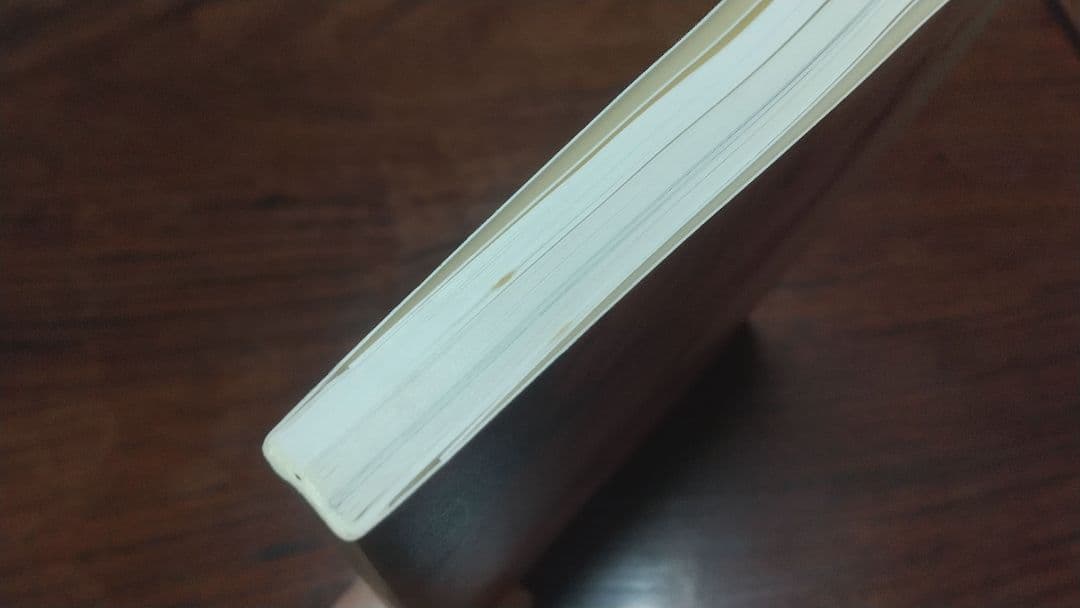 Wolfgang Tillmans Freischwimmer 写真展 図録