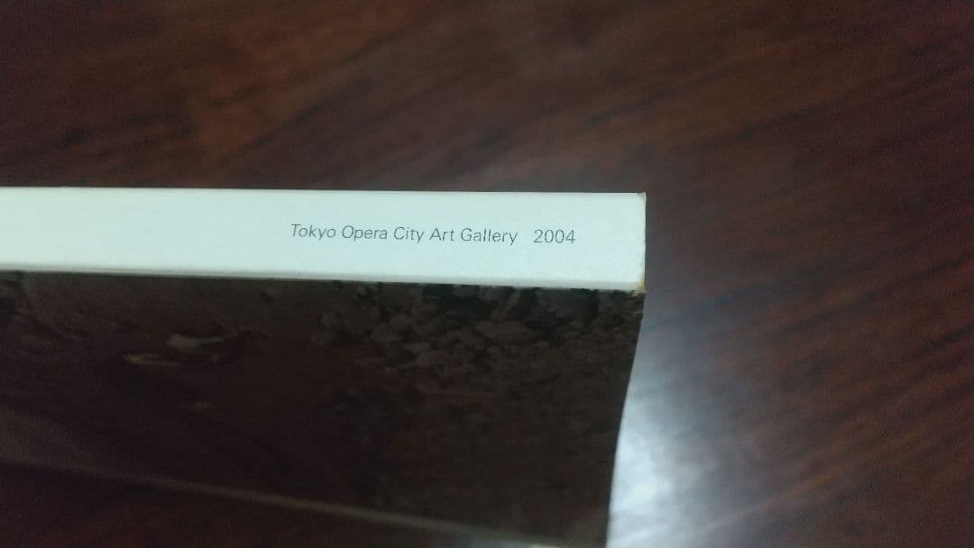 Wolfgang Tillmans Freischwimmer 写真展 図録