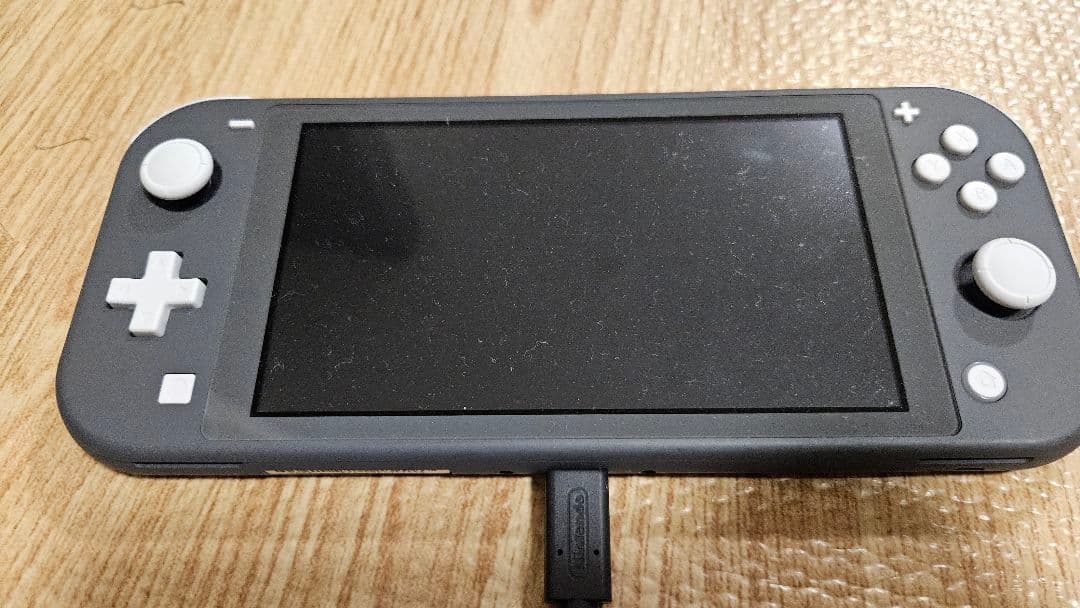 Nintendo Switch Lite グレー 充電器セット