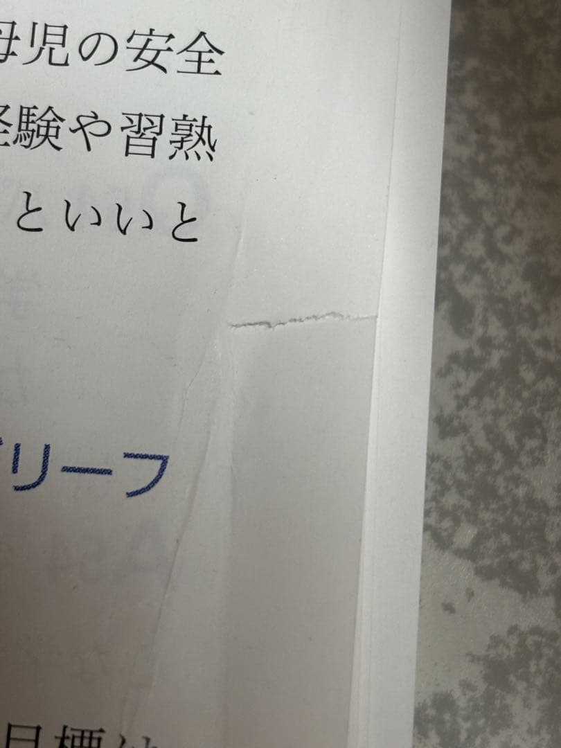 【裁断済】Lisa 2021年12冊 TEE