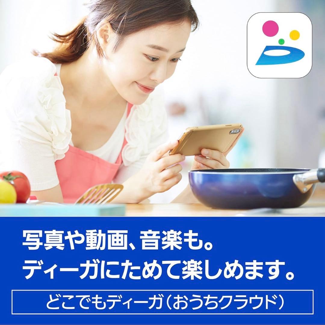 タイムセール　美品　Panasonic DMR-2W101 1TB HDD内蔵