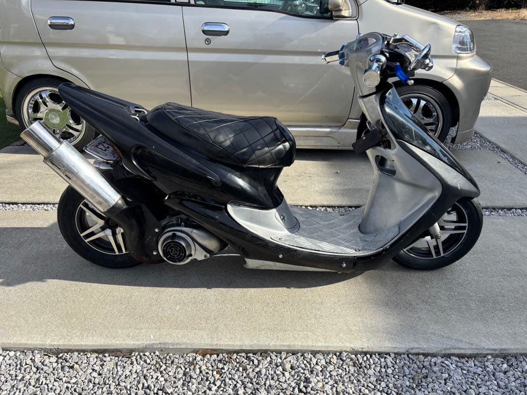 新春セール ライブディオ 羽for M