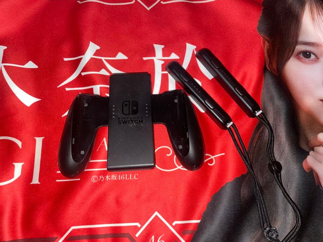 【動作確認済・簡易清掃済】NintendoSwitch