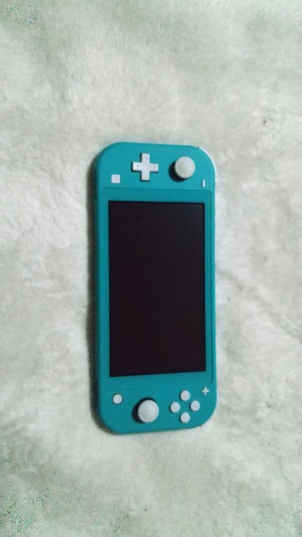 Nintendo Switch Lite ターコイズケースアダプターセット動作品