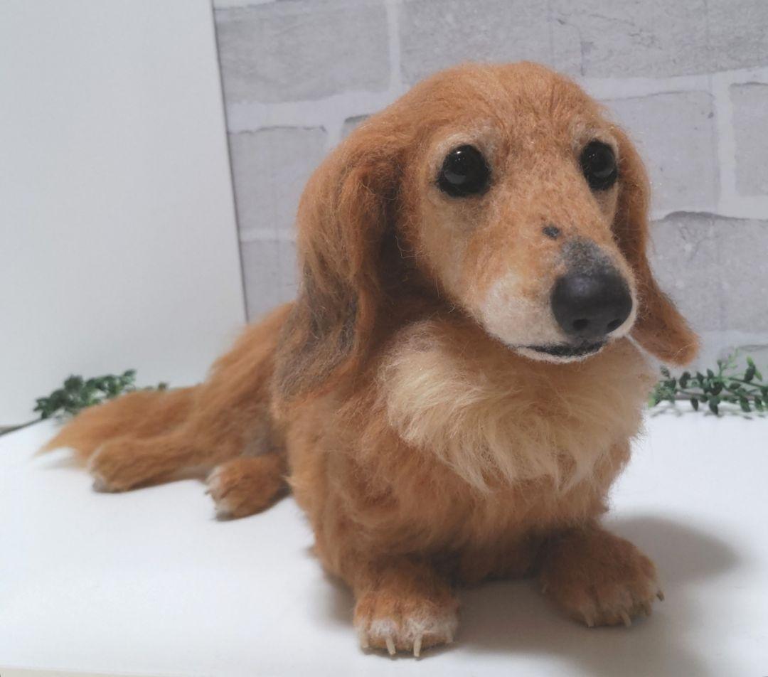 Yoko♡うちの子オーダー♡羊毛フェルト♪ハンドメイド☆