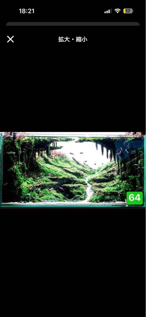 水槽用流木レイアウト 60センチ水槽用