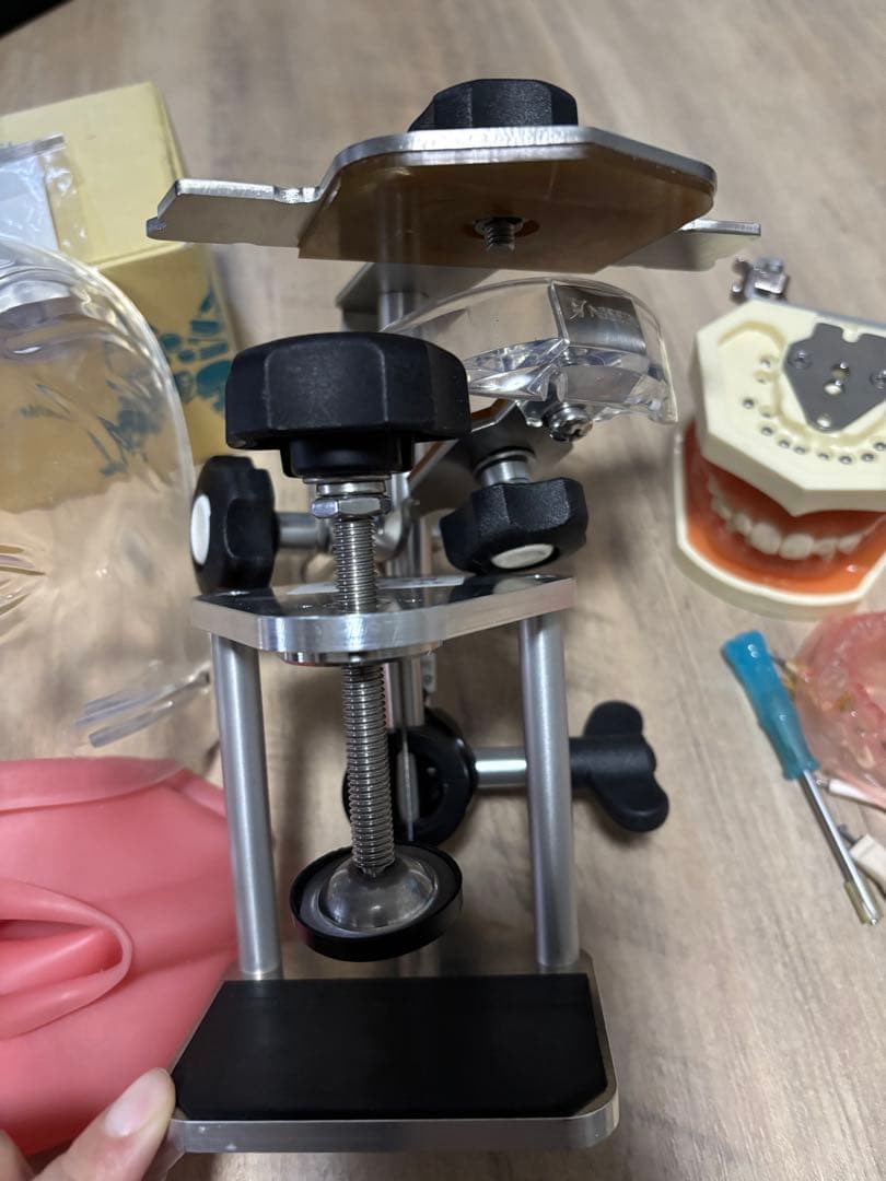 歯科 顎模型 一式　NISSIN シンプルマネキン