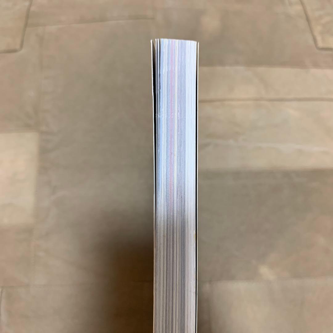 THE GALAXY OF STRATS (リットーミュージック・ムック)