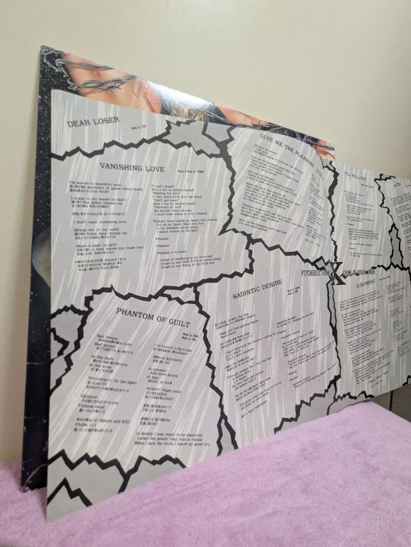 邦楽 X VANISHING VISION LP