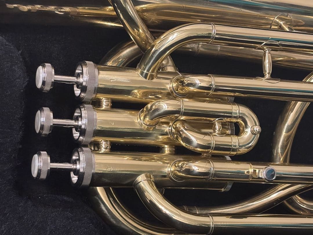 アルトホルン ケース、マウスピース付き