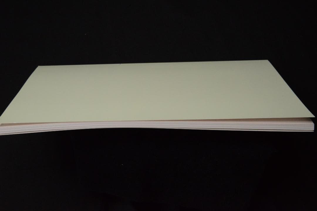 As the Crow Flies:Terri Weifenbac★値下げました