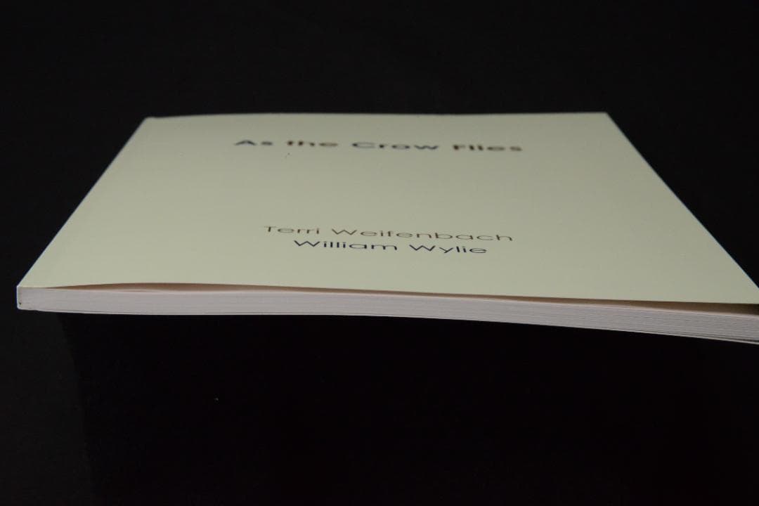 As the Crow Flies:Terri Weifenbac★値下げました