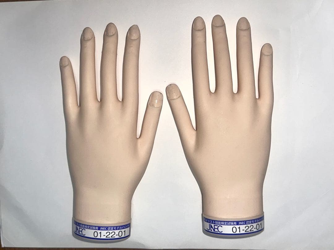JNEC検定用モデルハンド両手