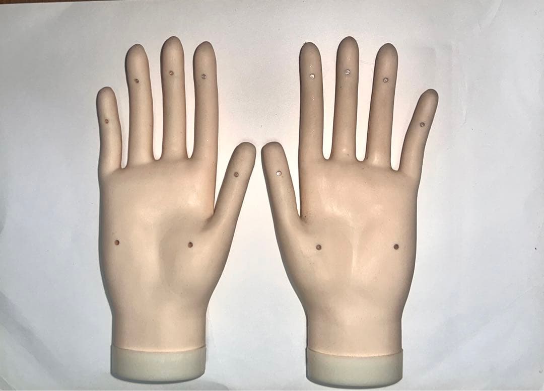 JNEC検定用モデルハンド両手