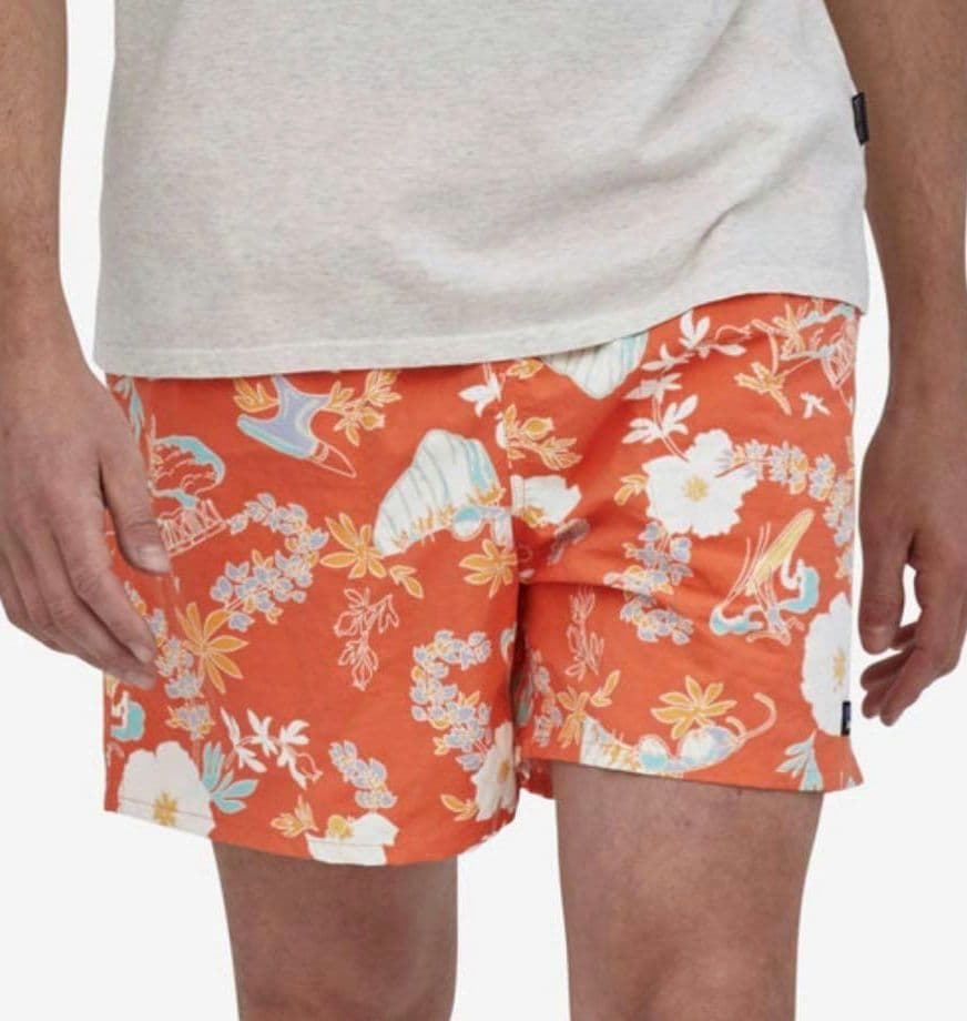 【新品】patagonia パタゴニア バギーズショーツ CSTI 5インチ M