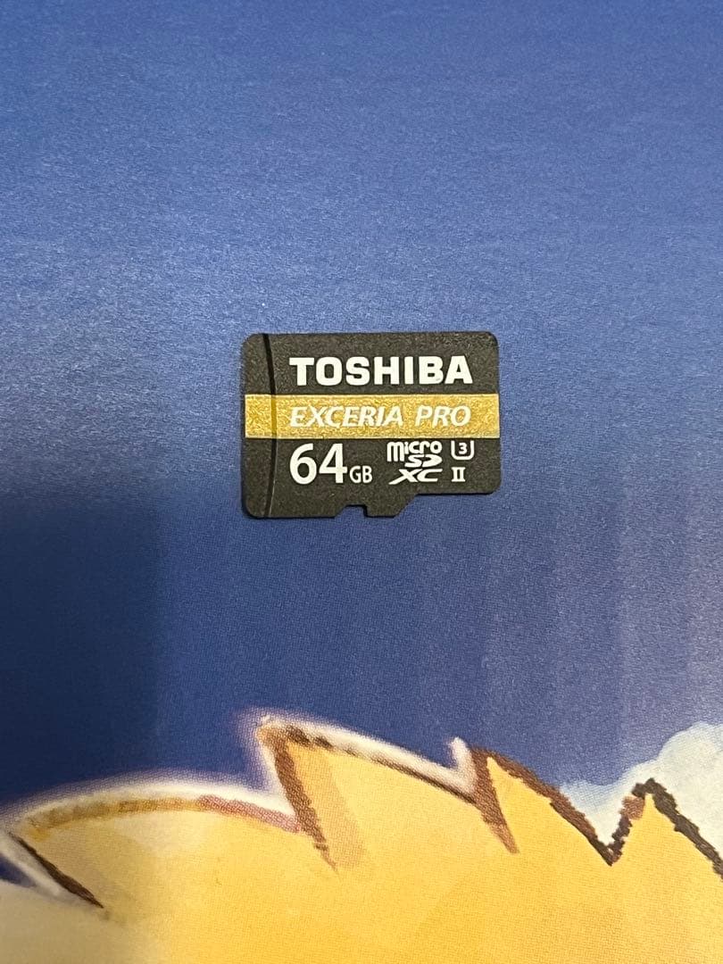 Nintendo Switch イーブイ モデル　＋　α