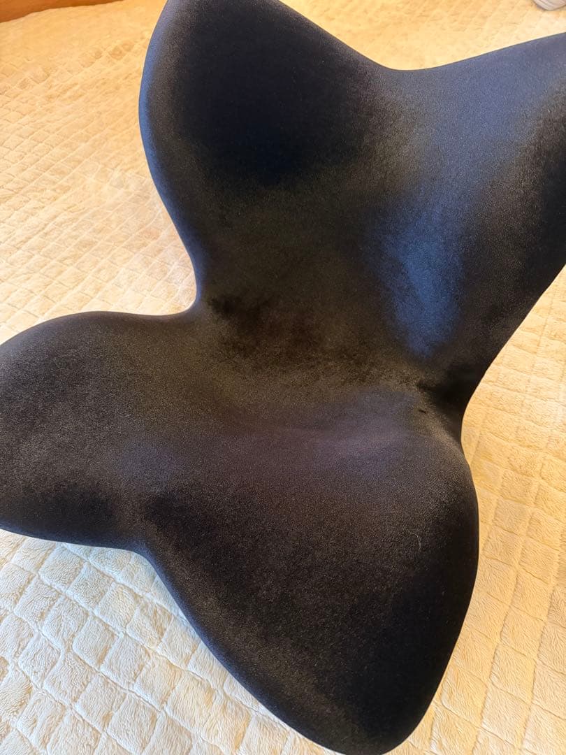 Style PREMIUM DX スタイル　プレミアムデラックス【新品】