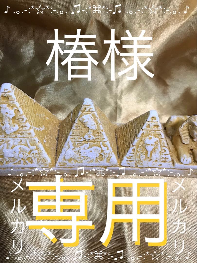 椿【卸】第４弾＋秋のリピーター様感謝祭