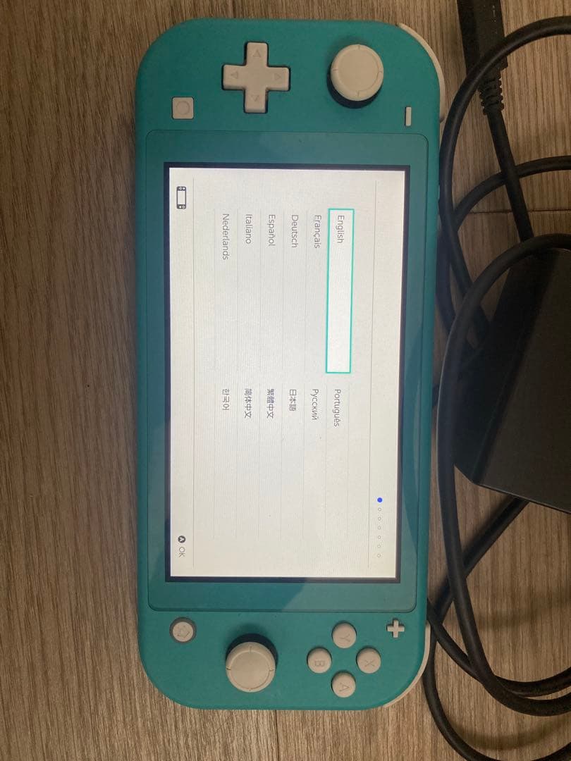 Nintendo Switch Lite ターコイズ 本体と充電器、カバー付き