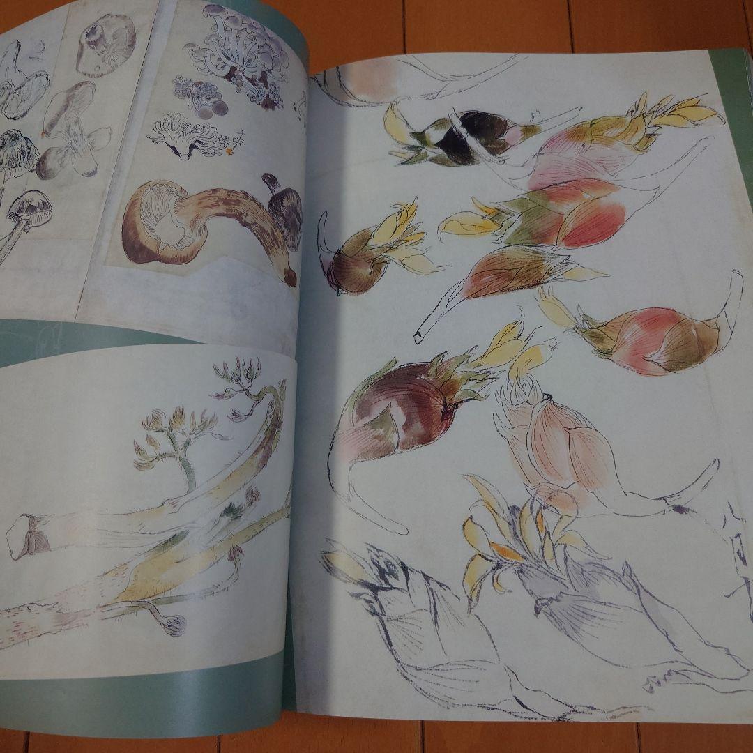 柴田是真 スケッチ集