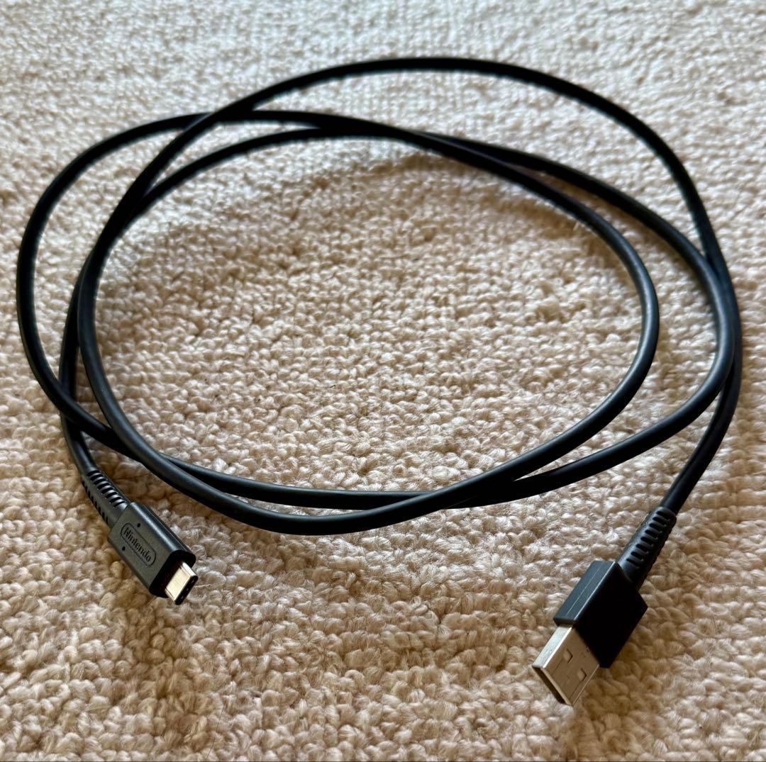 Nintendo Switch 本体 グレー Joy-Con付き初期モデル