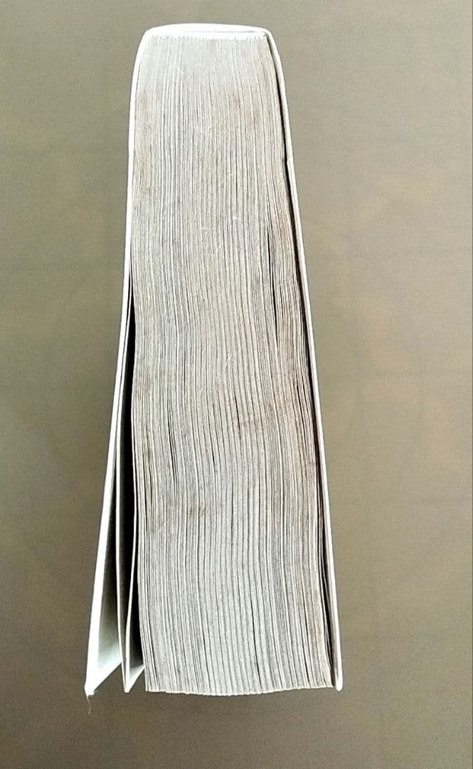 本「大統領選挙とバニラウォッカ」 クリスティンゴア 鹿田昌美 湊和夫