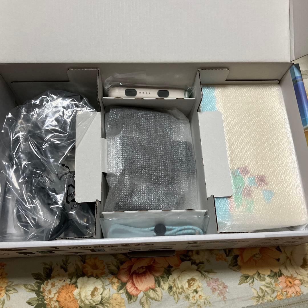 【希少】　Nintendo Switch どうぶつの森デザイン