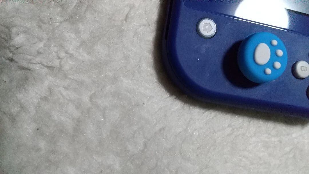 Nintendo Switch Lite ブルー 動作品 難あり