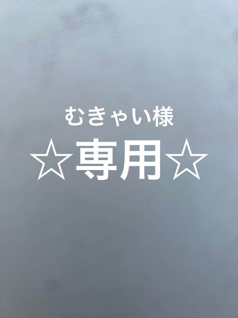 アダプトラテ抹茶 2袋セット専用