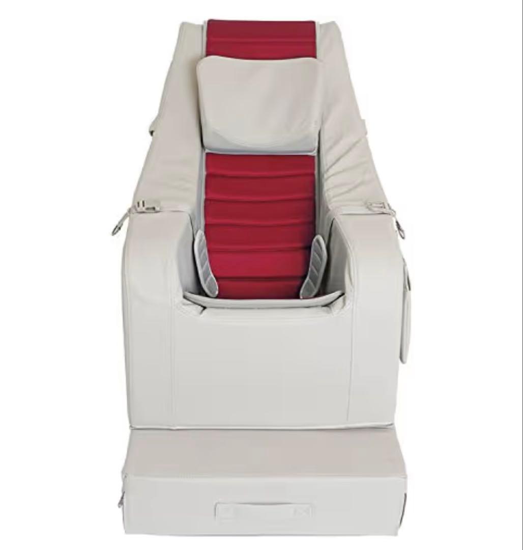 Sachi　SEEDS グラビディチェアリクライニング クッションチェア