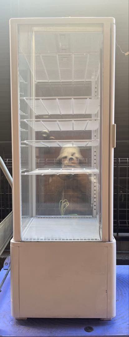 冷蔵ショーケース HJR-FG100SWT