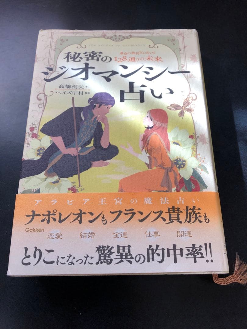 秘密のジオマンシー占い運命の裁判官が告げる128通りの未来 高橋桐矢 ヘイズ中村