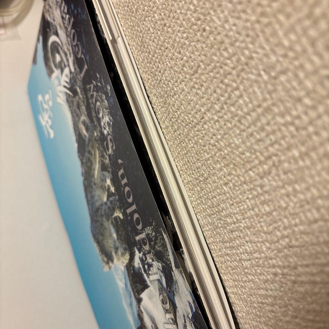 神の獣 雪豹 - The Eidolon, Leopard