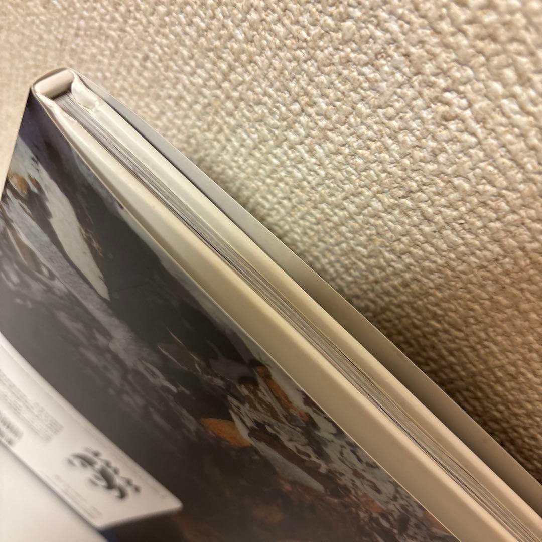 神の獣 雪豹 - The Eidolon, Leopard