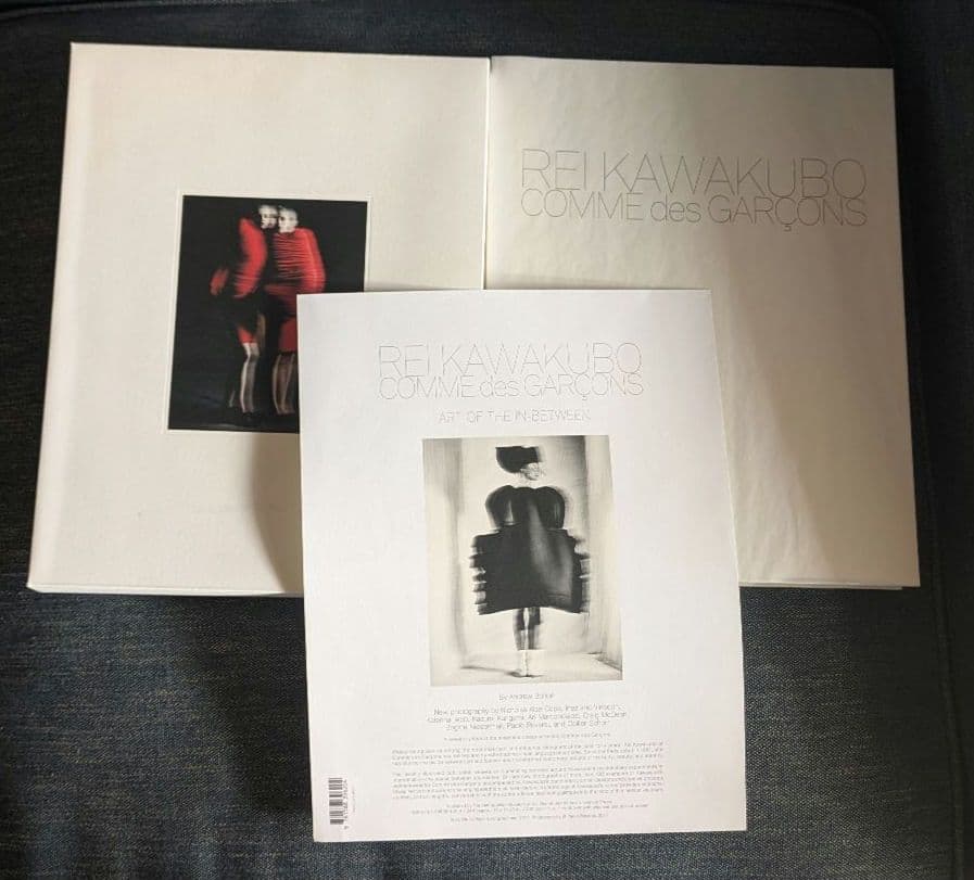 アート・デザイン・音楽 Rei Kawakubo Art of the In-Between