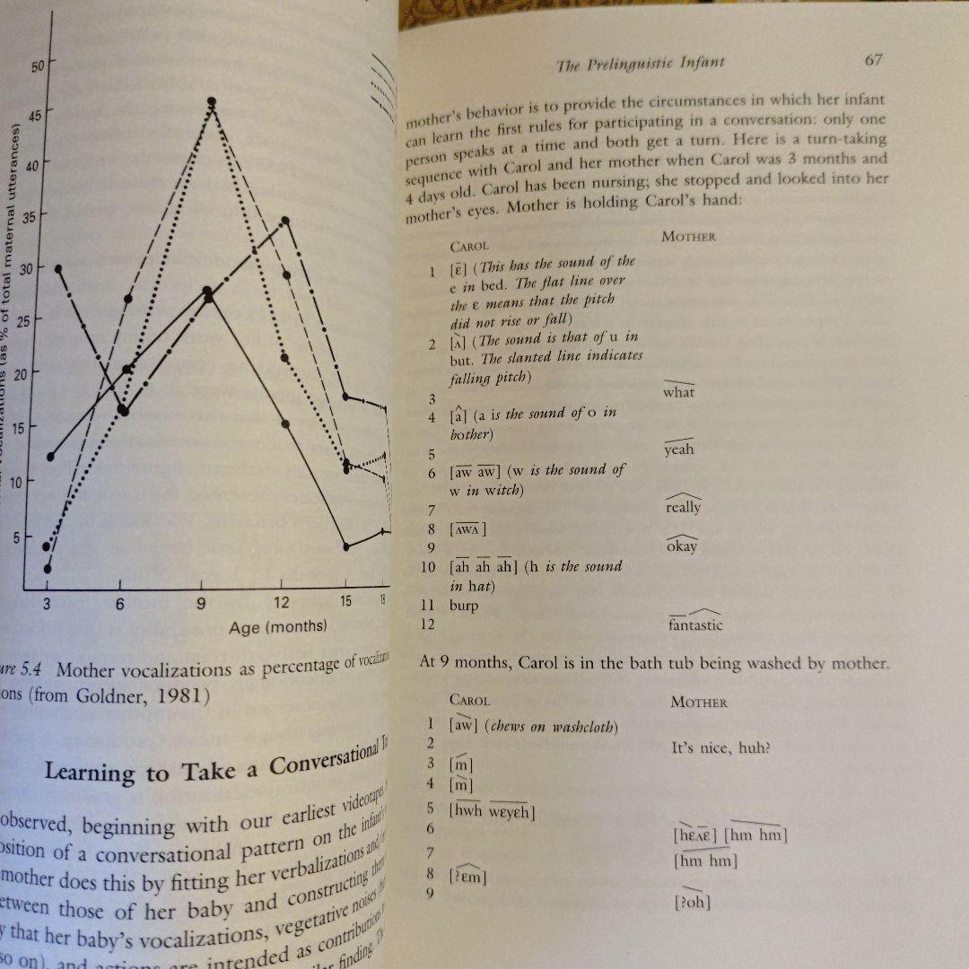 ★ぬ 英語・洋書 / 子どもの言語：家庭と学校における発達