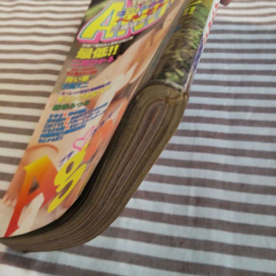 YOUNG ANIMAL No.18 1996年 ベルセルク ヤングアニマル