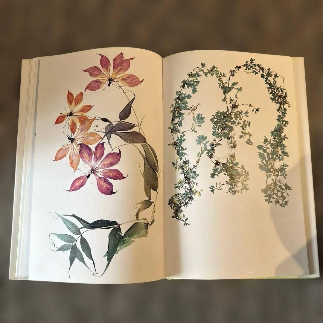 アート・デザイン・音楽 FLORA by Nick Knight