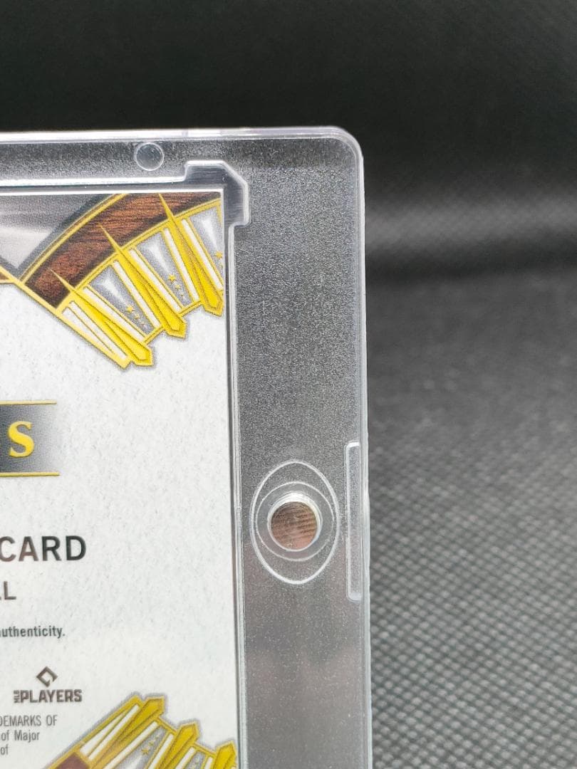 【美品】Julio Rodriguez_オンカードサイン_マリナーズ