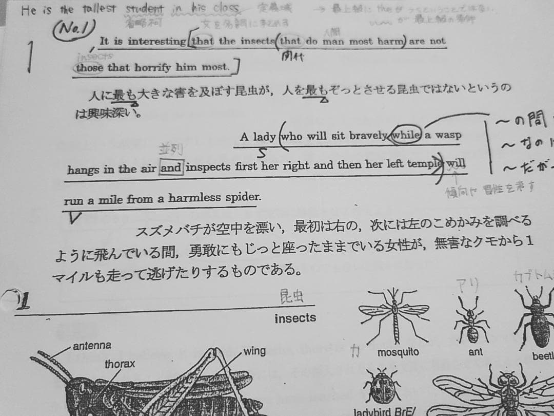 駿台の竹岡広信先生による英語構文S配布プリントフルセット　鉄緑会　河合塾